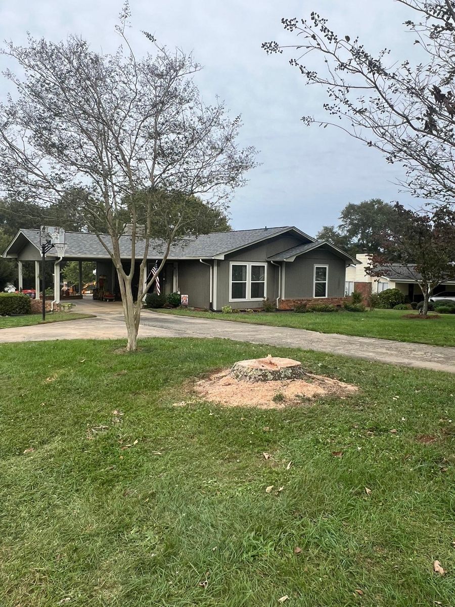 Tree Removal for Brooks Tree Service, LLC in Casar, NC