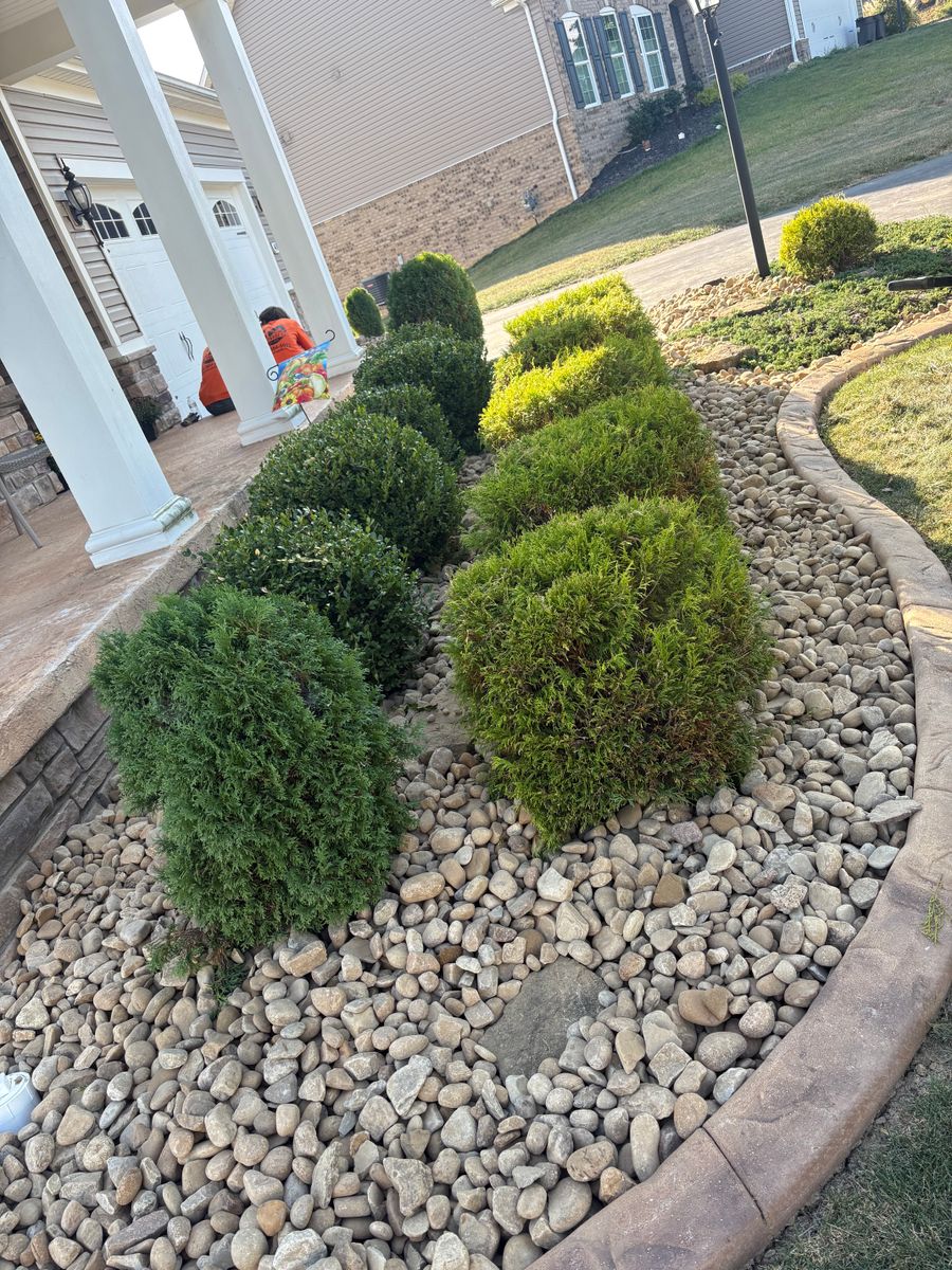 Bush & Hedge Shaping for Cam Yardz in Washington, PA