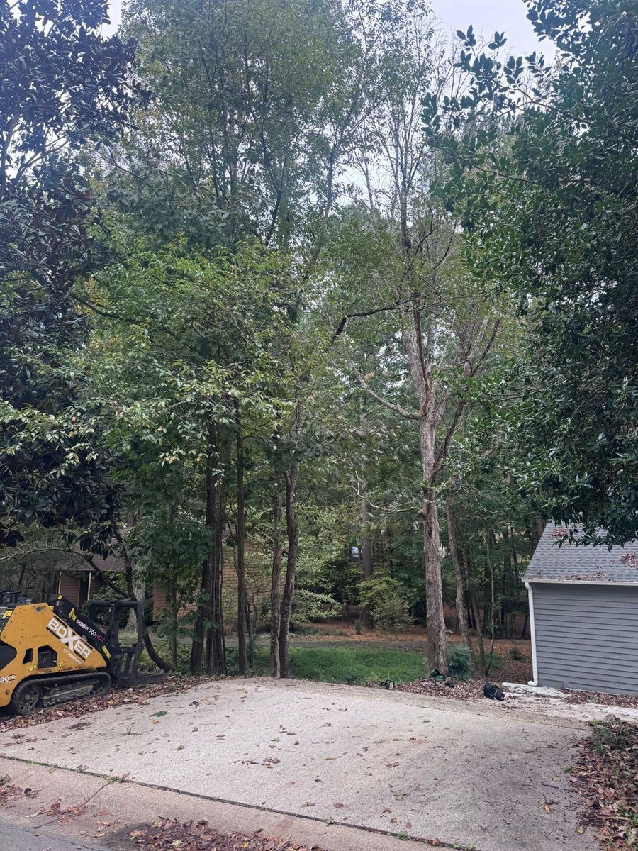 Fall/Spring Clean Up for Diversified Tree Company in Trinity, NC