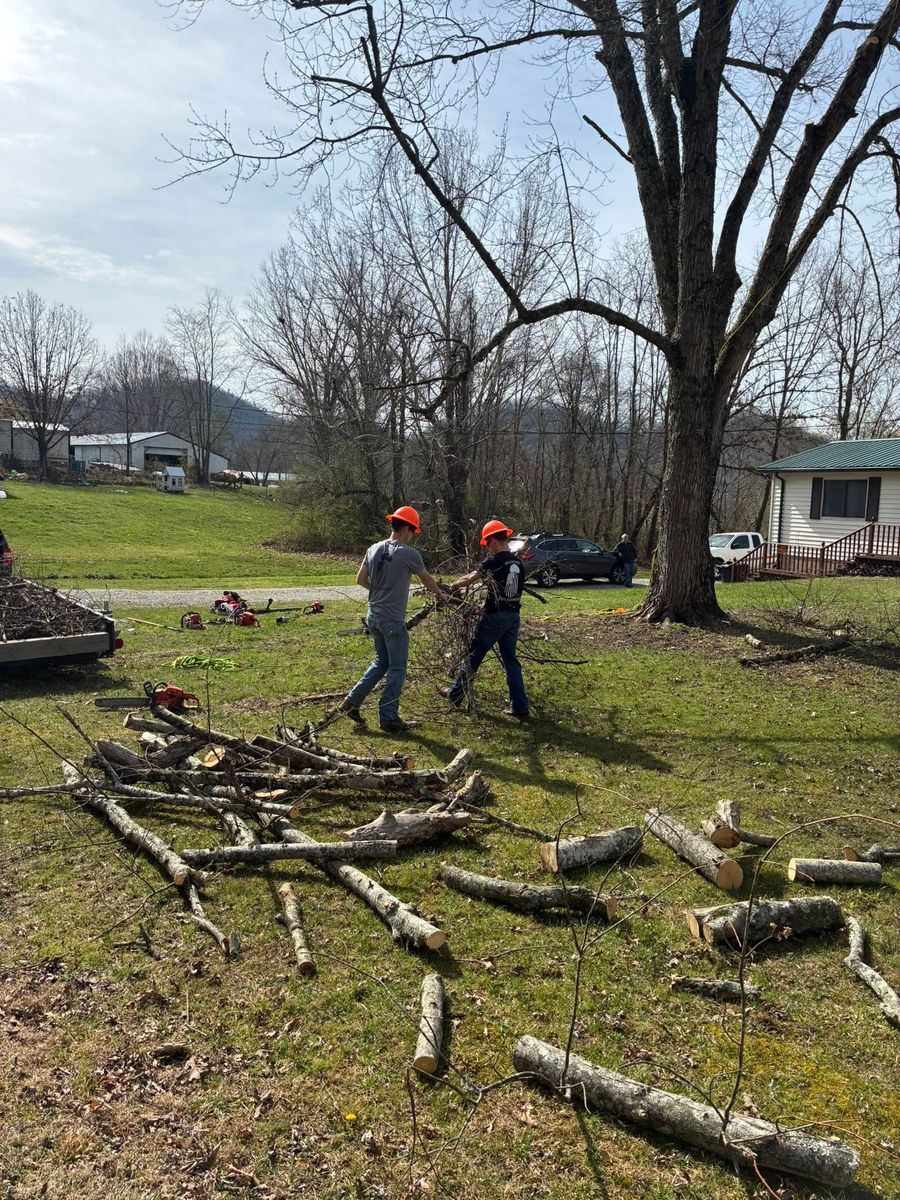 Tree Trimming for Skys The Limit Tree Management in Morehead, KY