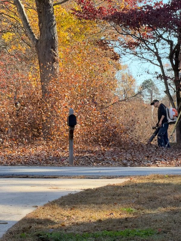 Fall Clean Up for Reiser Lawn Service in Denver, North Carolina