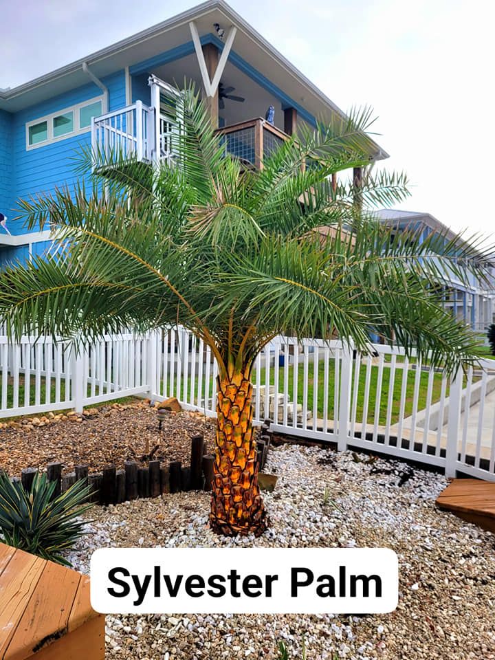 Patio Design & Construction for CRM Palm & Landscaping in Rockport, TX