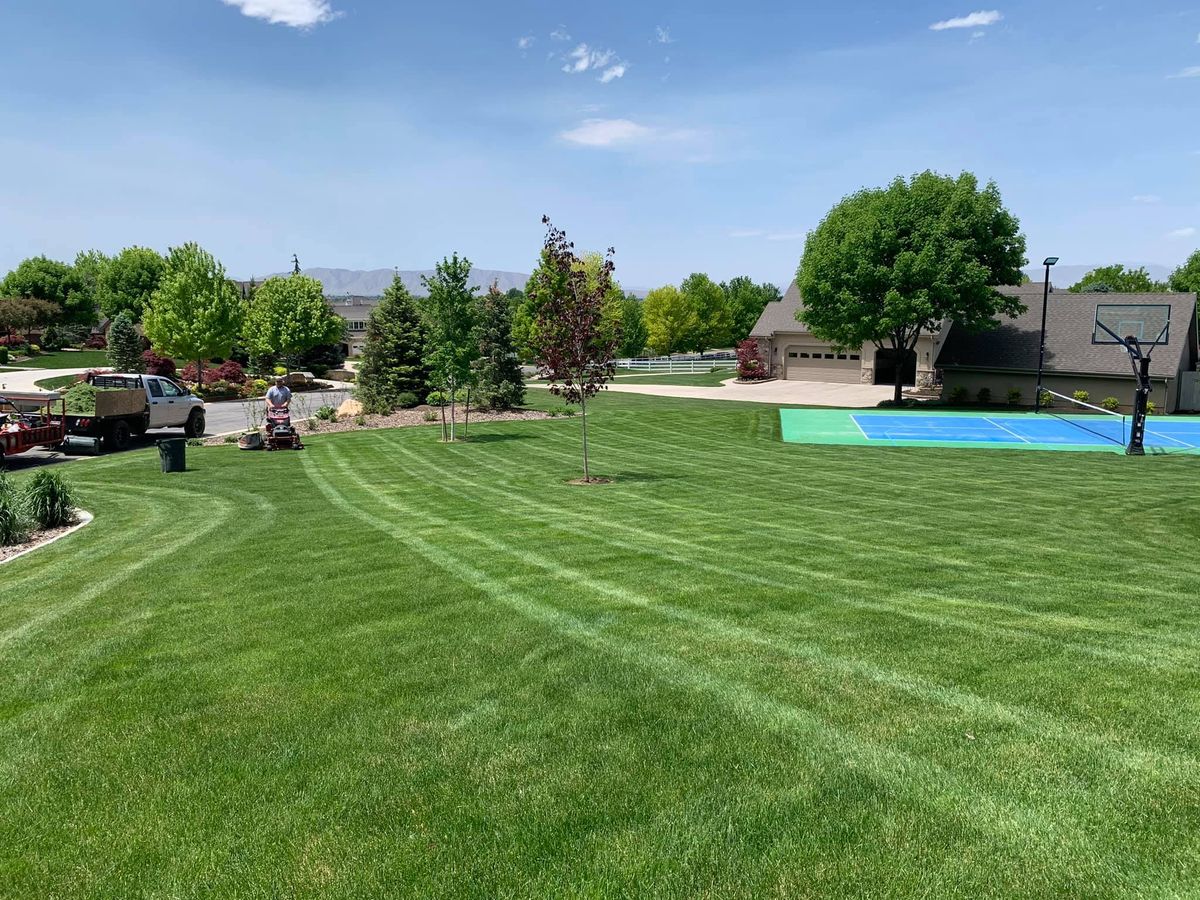 Weed Control for Platinum Lawn Service in Santaquin, UT