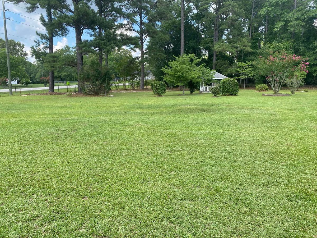 Lawn Transformation for Jt's Landscaping in Webb, AL