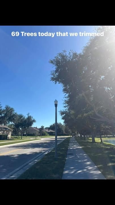 Tree Trimming for Ryker's Tree Service in Dunedin, FL