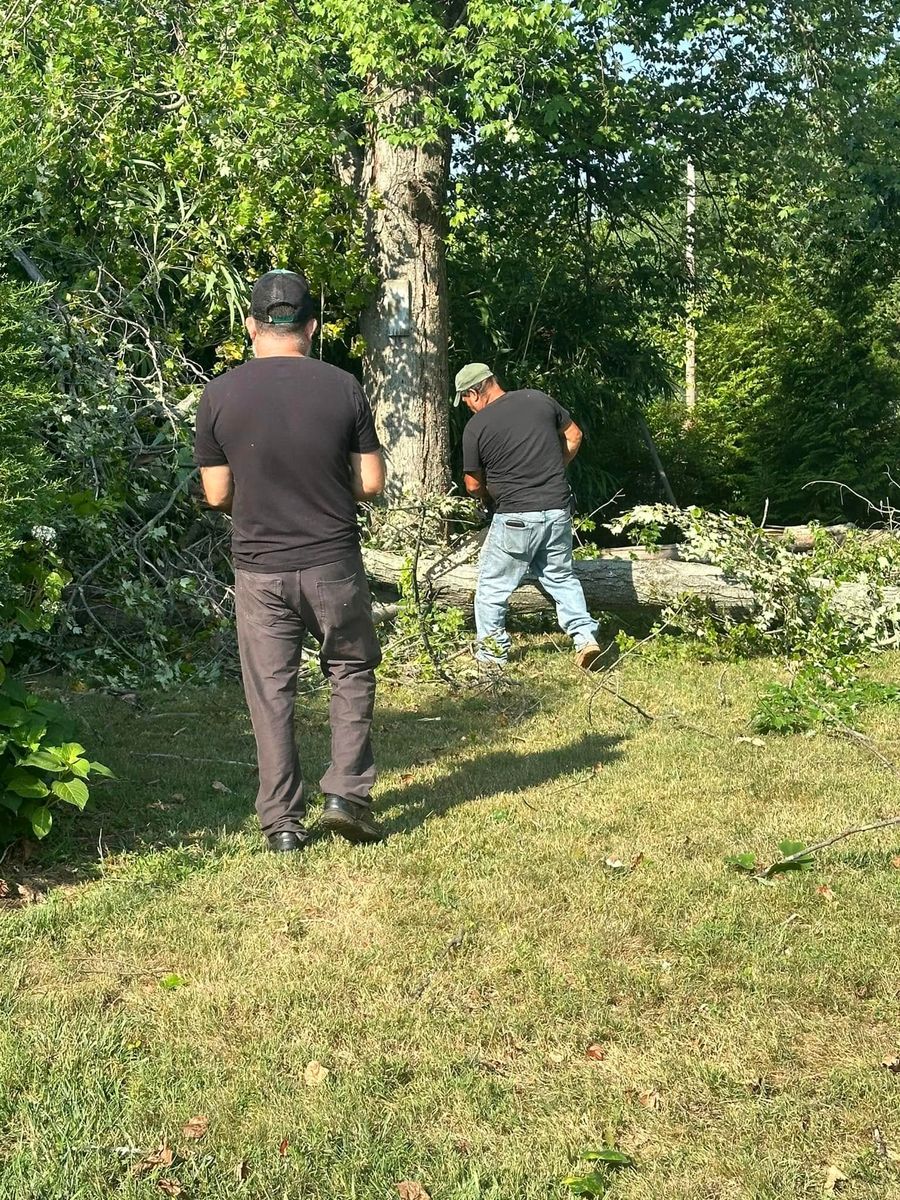 Tree Removal for Luna Landscaping and Construction in Parkville, MD