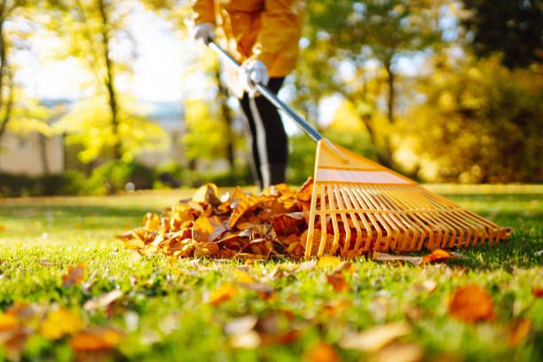 Fall Leaf Clean Up for Big Horn Hydroseeding in Cowley, WY