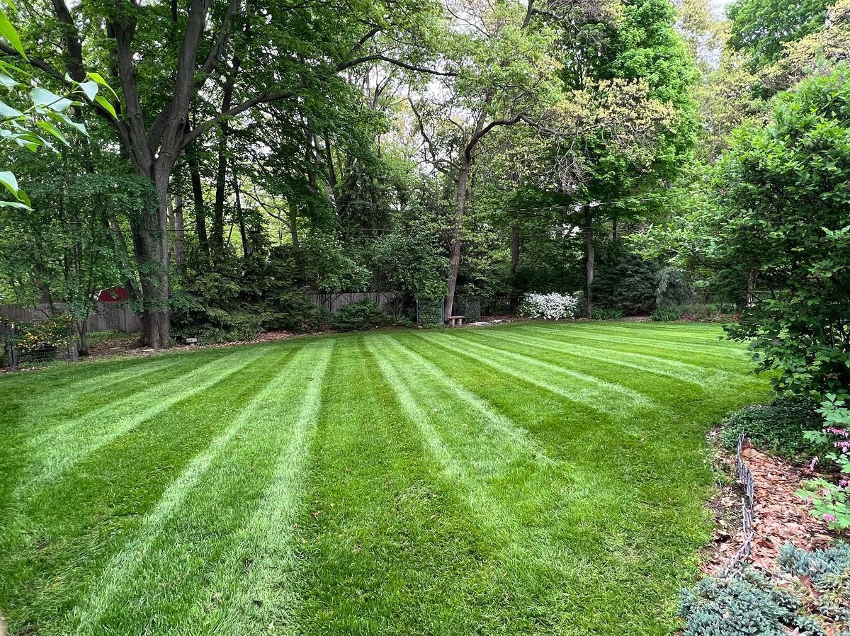 Mowing for Hammond Landscape in Okemos, MI