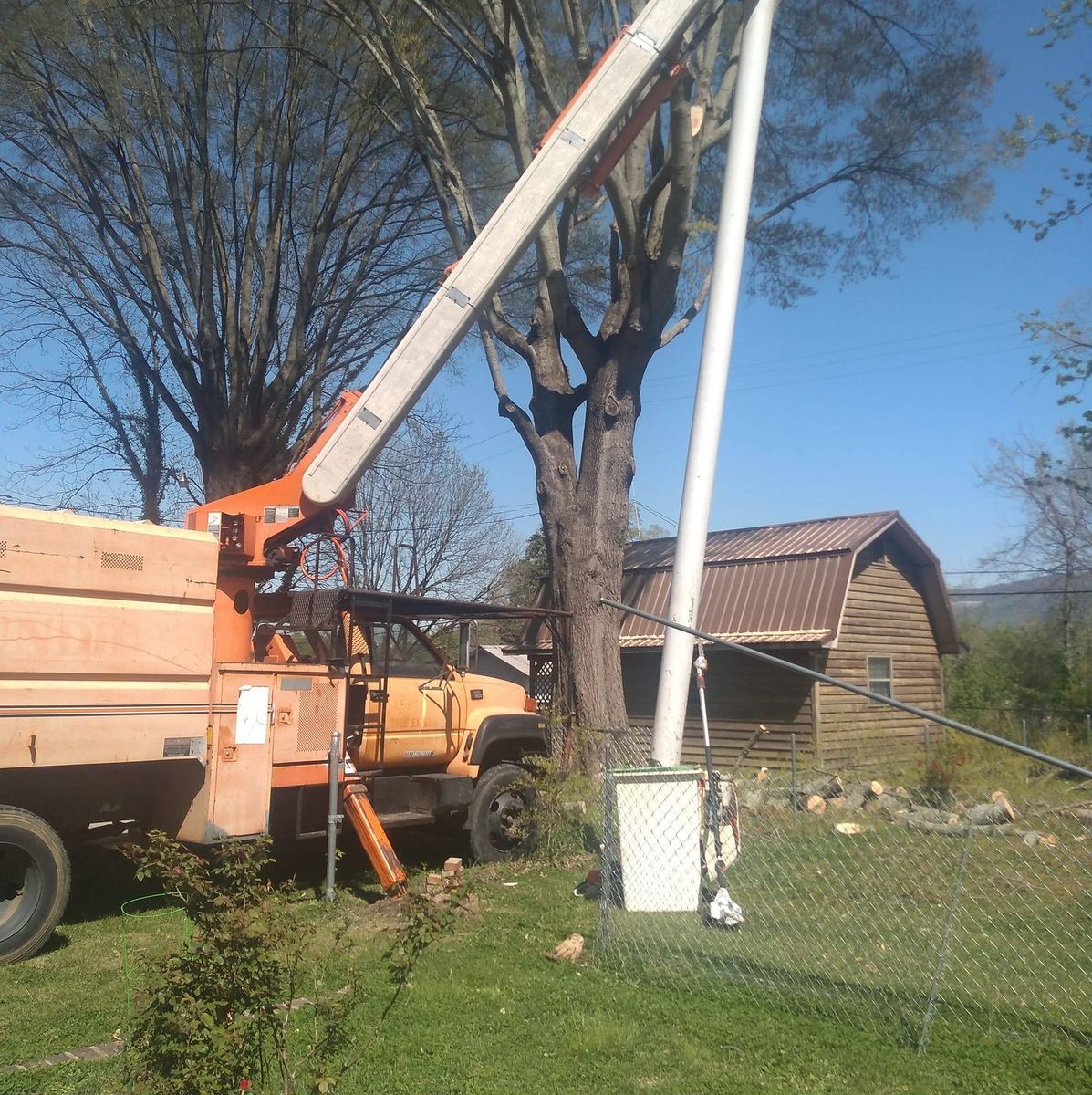Tree Experts for Scott's Tree Service in Athens, TN