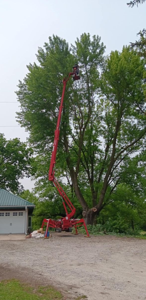 Tree Trimming for Lawn Ranger Yard And Tree Service LLC in Ottumwa, IA