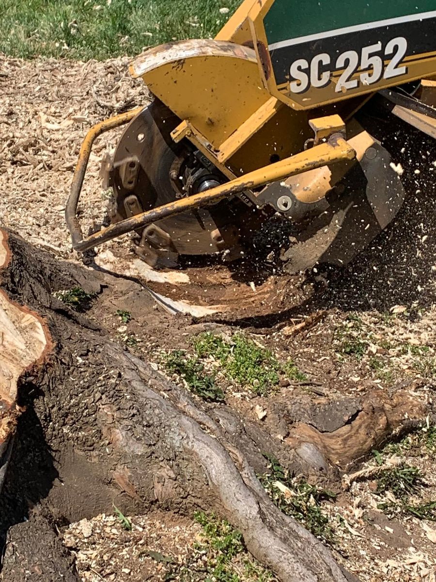 Stump Removal for Brocks Tree Service LLC in Rogersville, TN
