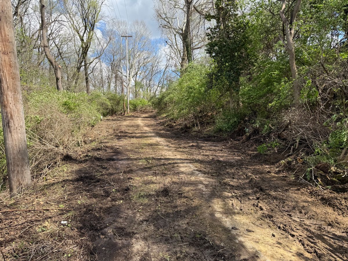 Bush Hogging for A1 Bush Hogging & Lawn Service in London, OH