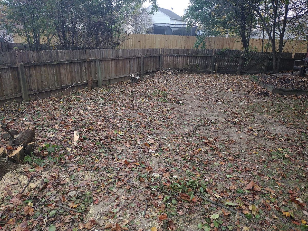 Fall and Spring Clean Up for Bearforce Lawn Care LLC in Greenfield, IN