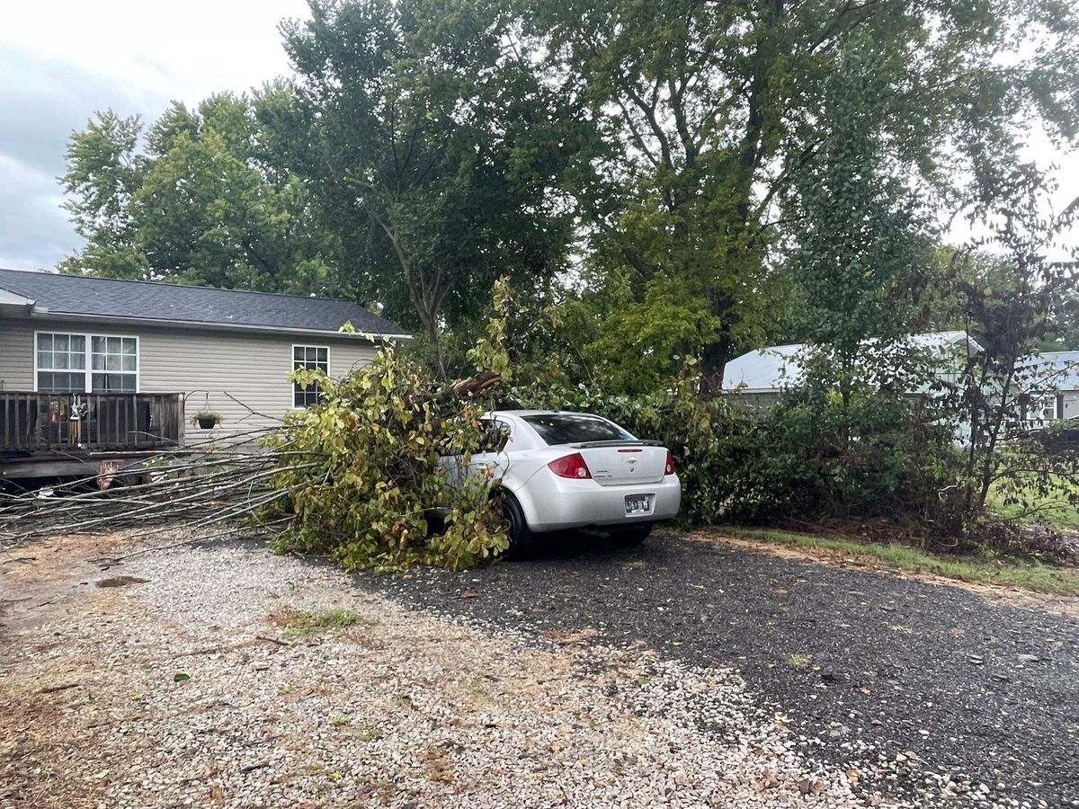 Tree Removal for Ross Family Tree Service LLC  in Hohenwald, TN