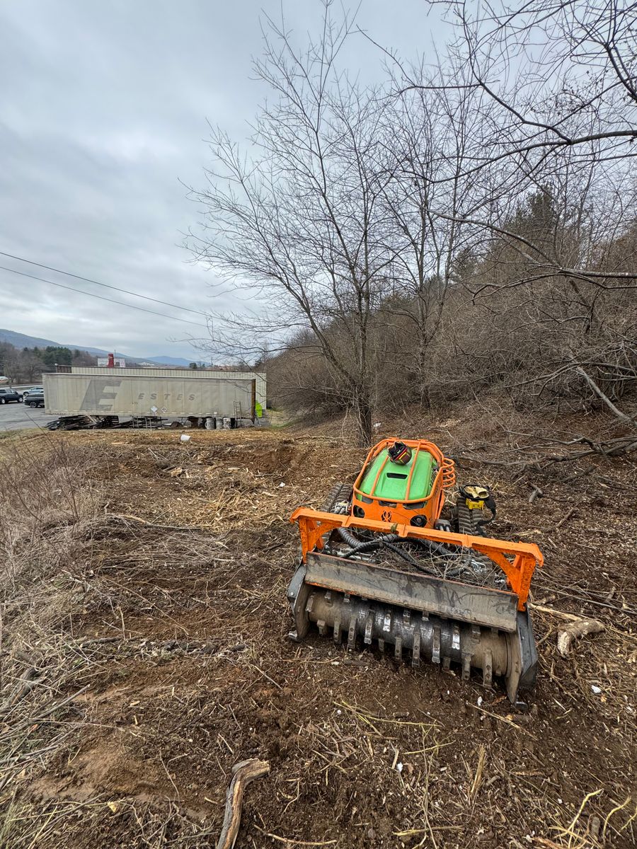 Land Clearing for Mountain Goat Land Management in Galax, VA