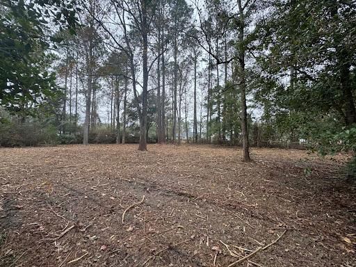 Land Clearing for Giles Land Management, LLC in Hahira, GA