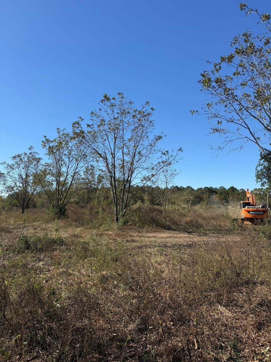 Arborist & Tree Removal for Southern Land Improvements in Edgefield, SC