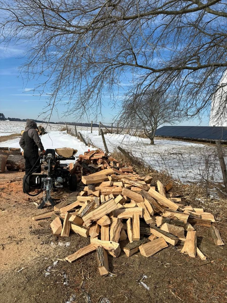 Firewood Bundles / Cords for Melnyk’s Tree Service in Salem County, NJ