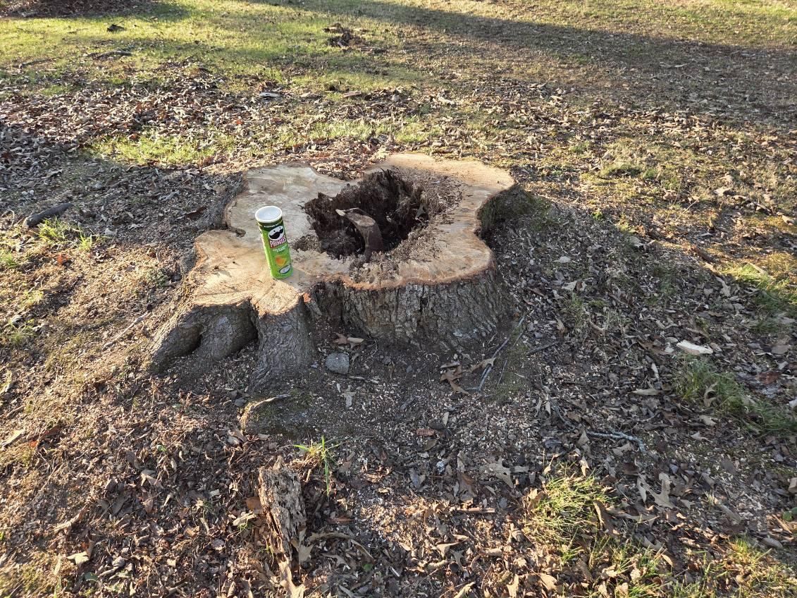 Stump Removal for Lucky’s Tree Removal and Landscape Services in Knoxville, TN