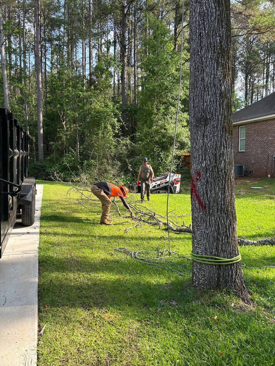 Tree Services for Broadway & McMullen Construction in Hattiesburg, MS