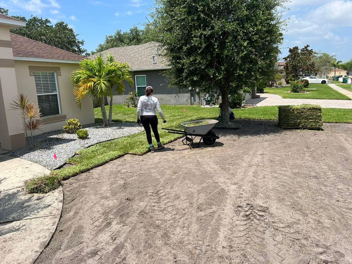 Sod Installation for Florida Pro Turf in  Viera, FL