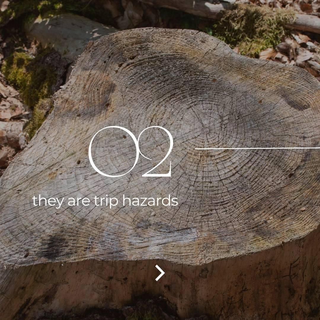 Tree Removal for Oakwood Tree Removal LLC in Oak Creek,  WI