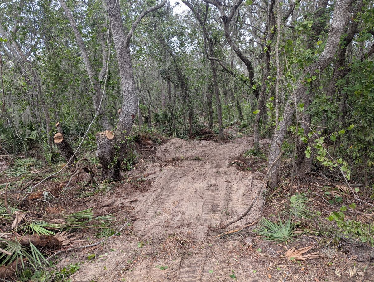 Land Clearing for Regal Tree Service and Stump Grinding in Wauchula, FL