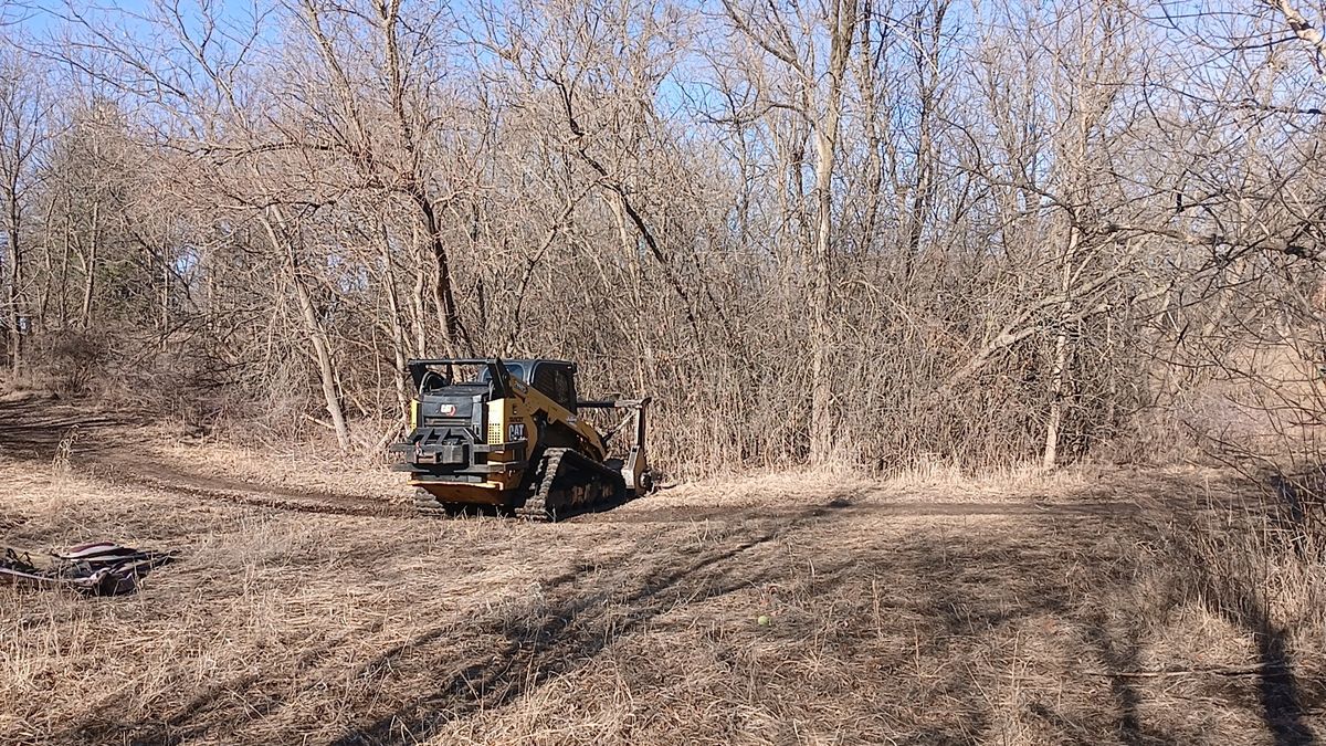 Land Clearing for Willing Trucking & Excavating in Evansville, WI