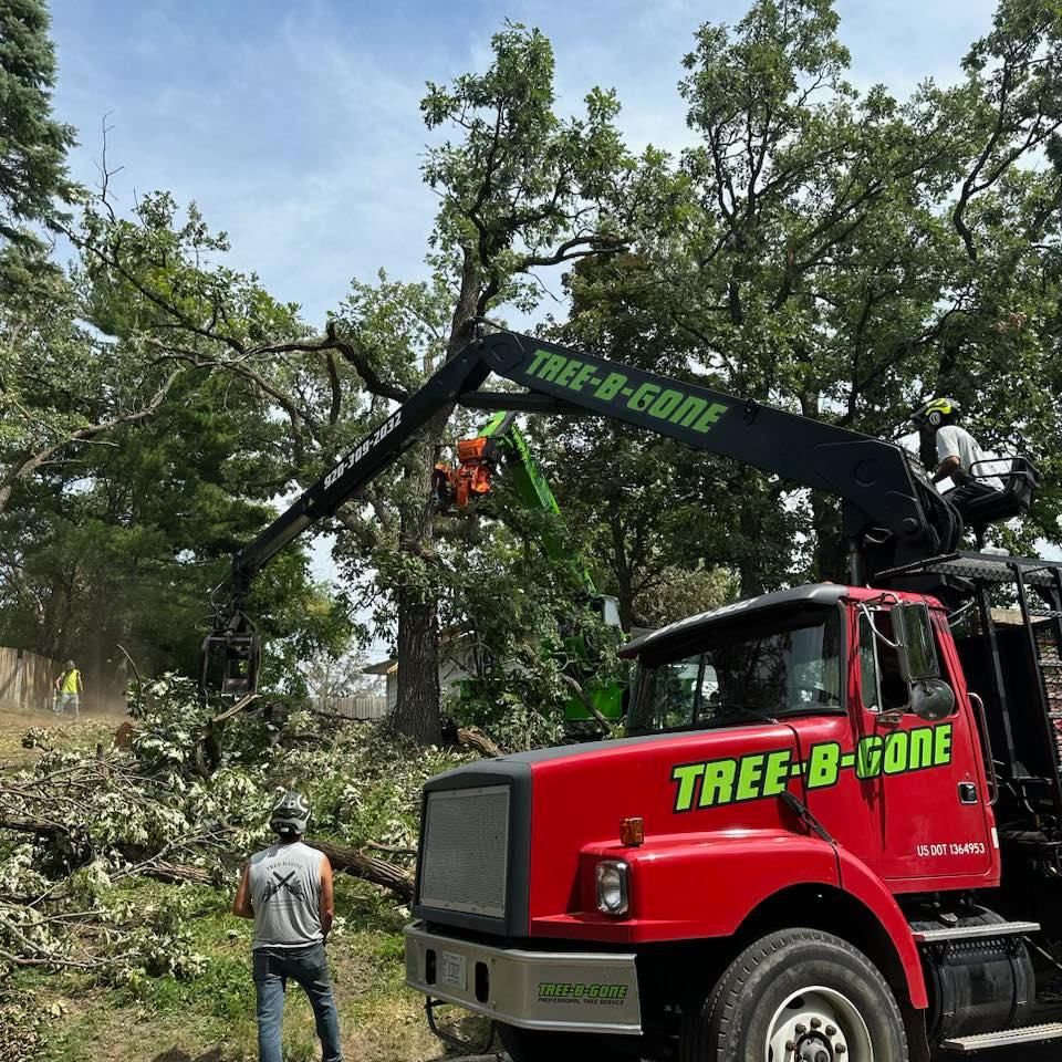 Tree Trimming for Tree-B-Gone in Appleton, WI