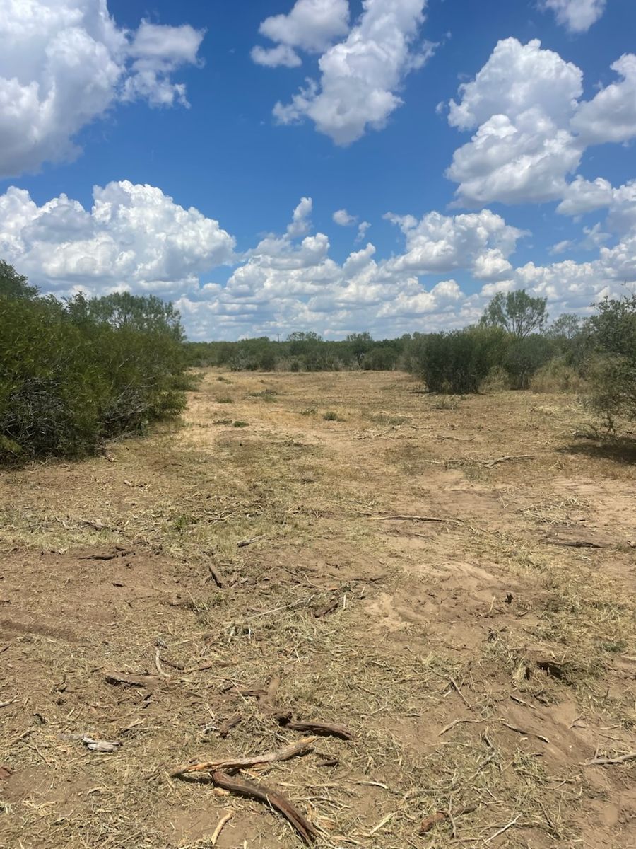 Land Clearing for TS Land Mangement in Bigfoot, TX