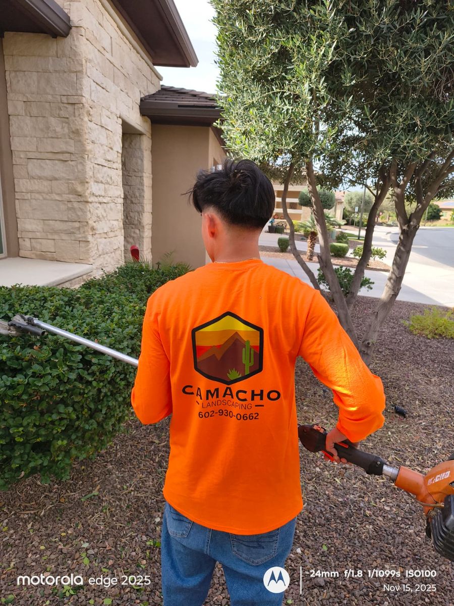 Pest Control for Camacho AZ Landscaping in Peoria, AZ