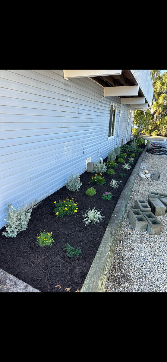 Landscape Design for MX Trees LLC in Englewood, FL