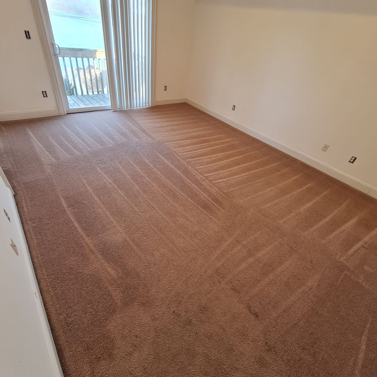 Deep Carpet Cleaning for RFC Maintenance Services in Paterson, NJ