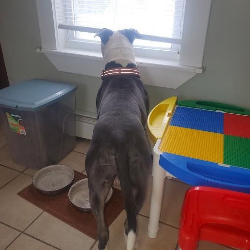 Bedroom Renovation for Gallagher's Plastering in Mississauga, ON