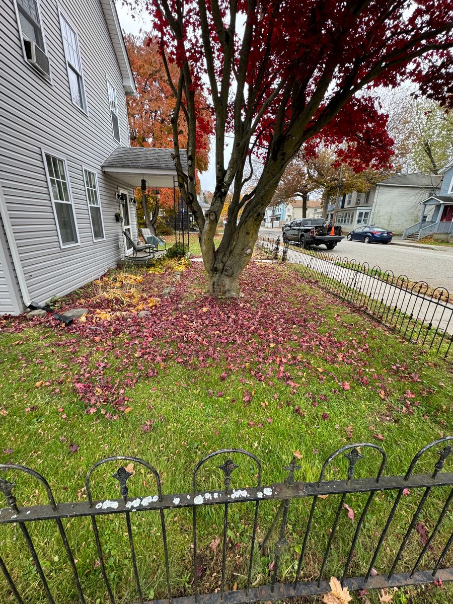 Fall Cleanup for Triscape LLC  in Port Jervis, NY