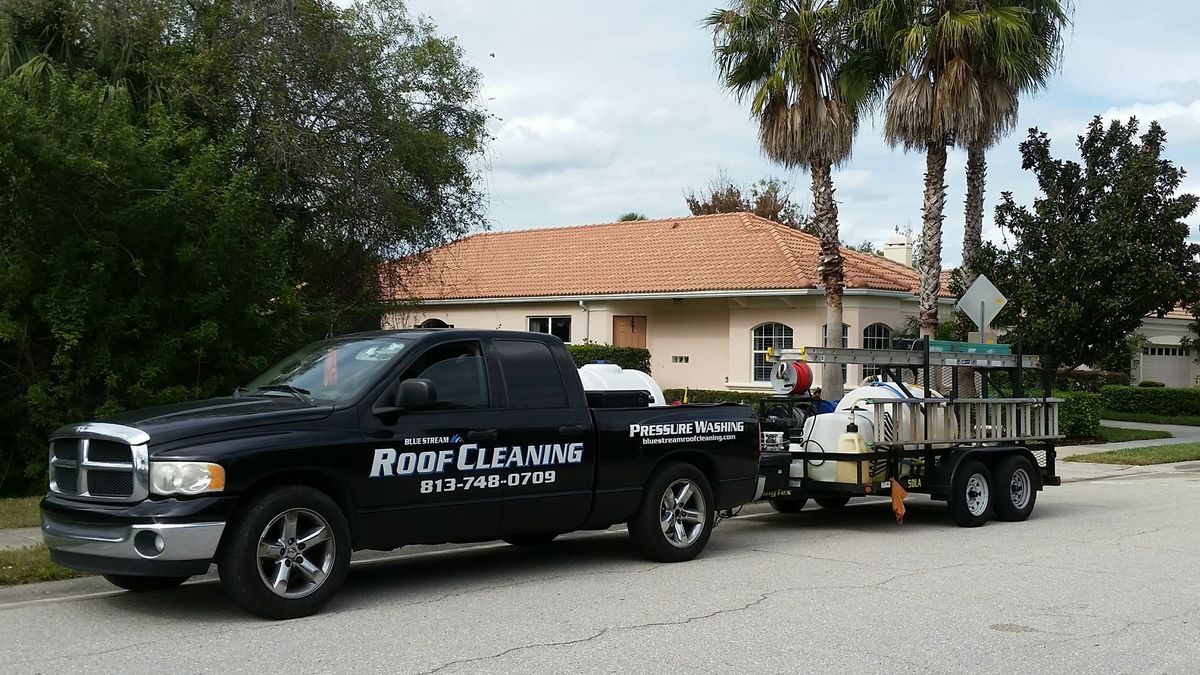 Roof Cleaning for Blue Stream Roof Cleaning & Pressure Washing  in Tampa, FL