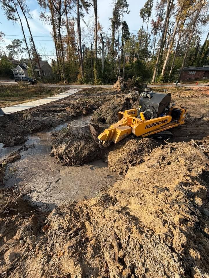 Stump Excavation for Dozier Stump Grinding in Augusta, GA