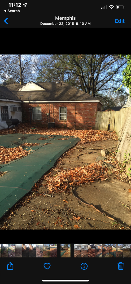 Leaf removal for Kingdom Landscaping in Memphis, TN