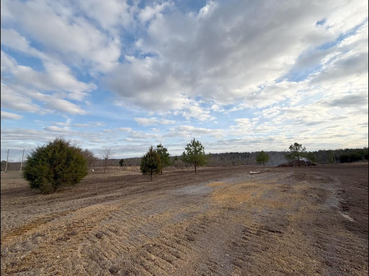 Land Clearing for Collins Constructors in Fyffe, AL