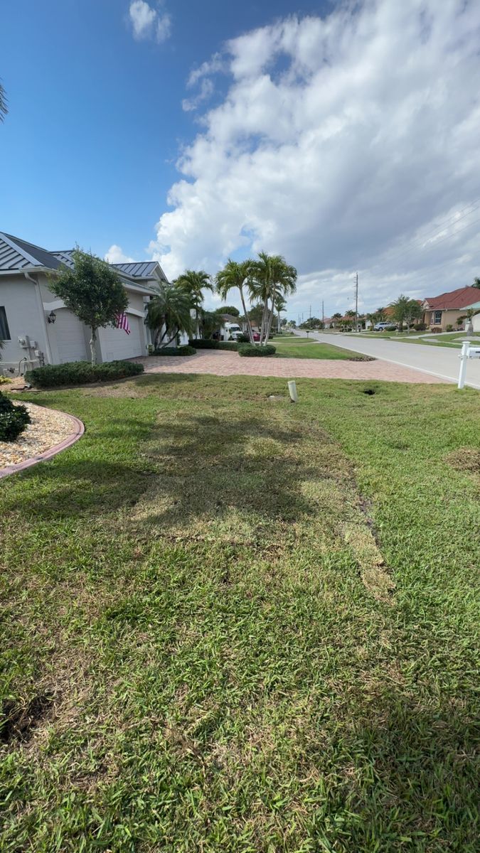 Lawn Maintenance for Rize N’ Grind  in Punta Gorda, FL