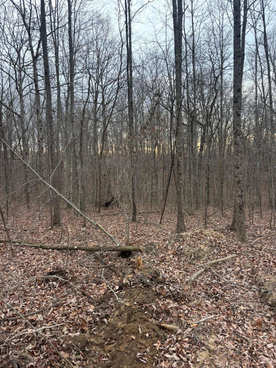 Dirt Work for TD Dirtworks in Tracy City, TN