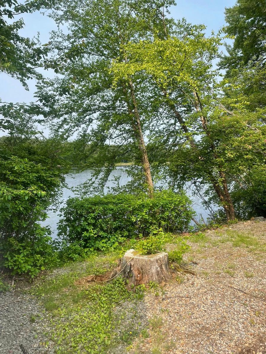 Lawn Installation for Hidden Acre Landscaping & Lawn Care in Dover, New Hampshire