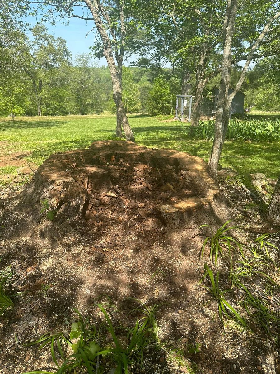 Stump Removal for Moore’s Tree Service in Chesnee, SC