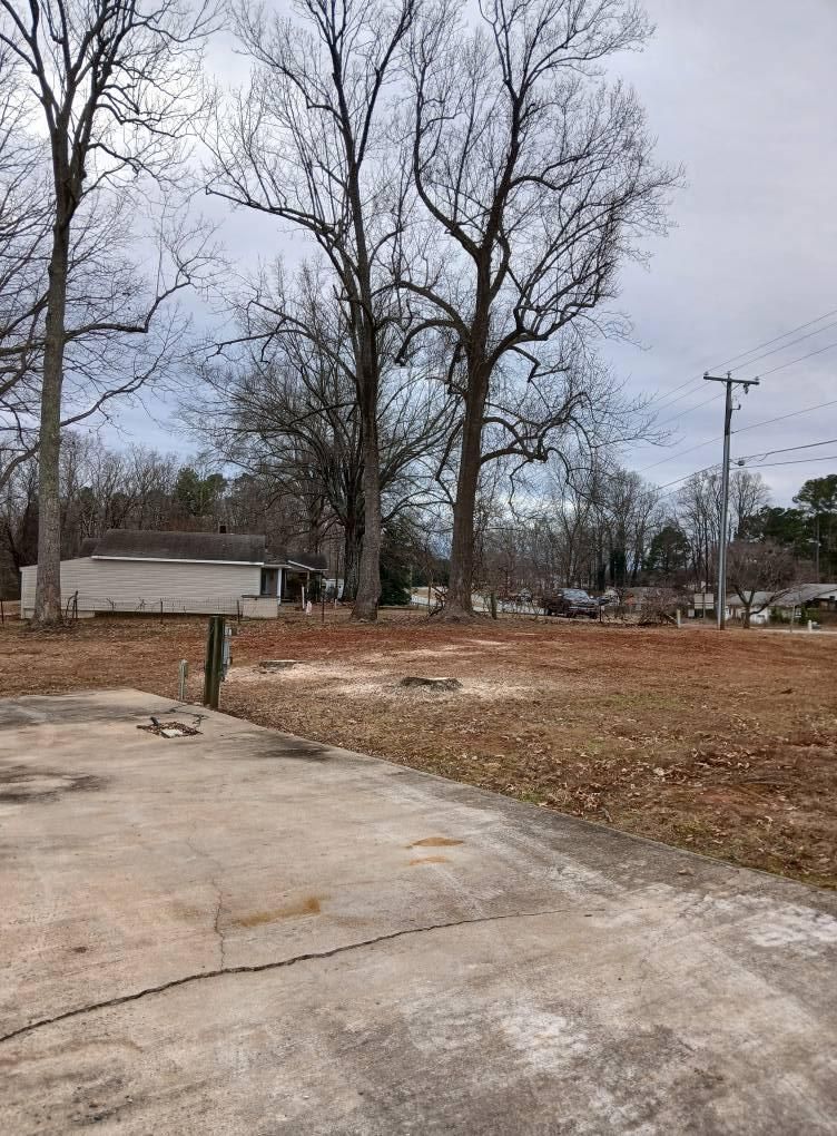 Forestry Mulching for Whiskey Ridge Mulching & Land Services in South Boston, VA