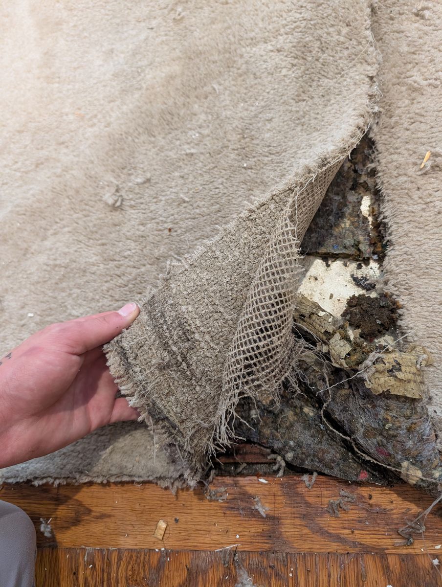 Storm Restoration for Best Option Restoration of Denton in Denton, TX