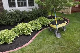 LandscapIng for Deck Escapes and Outdoor Living  in Knoxville, TN