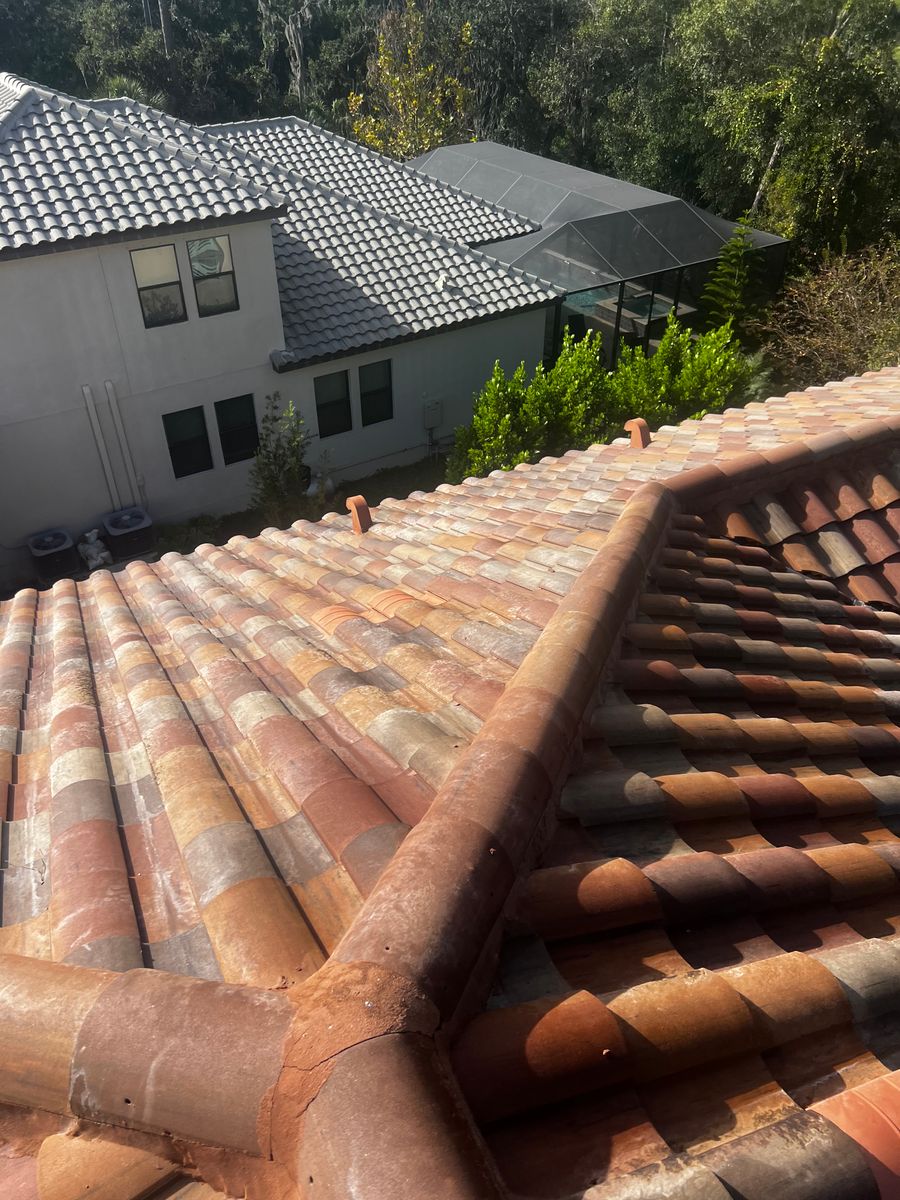 Exterior Cleaning for Barr None Wash Pro in Tampa, FL