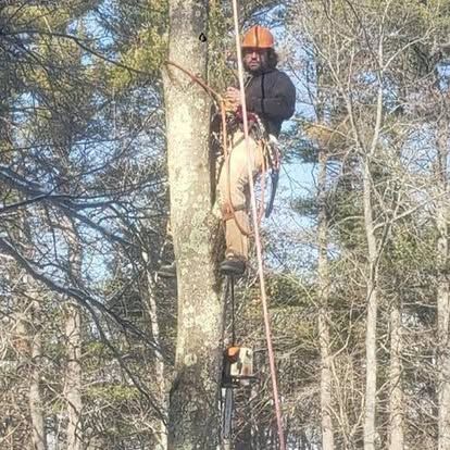 Pruning Services for Baboosic Tree & Landscape in Merrimack, NH