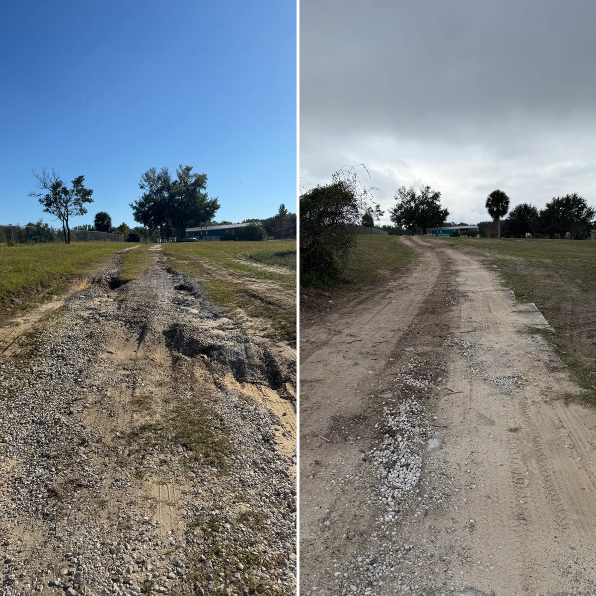 Land Clearing for Amerigrown Tree And Lawn in Apopka, FL