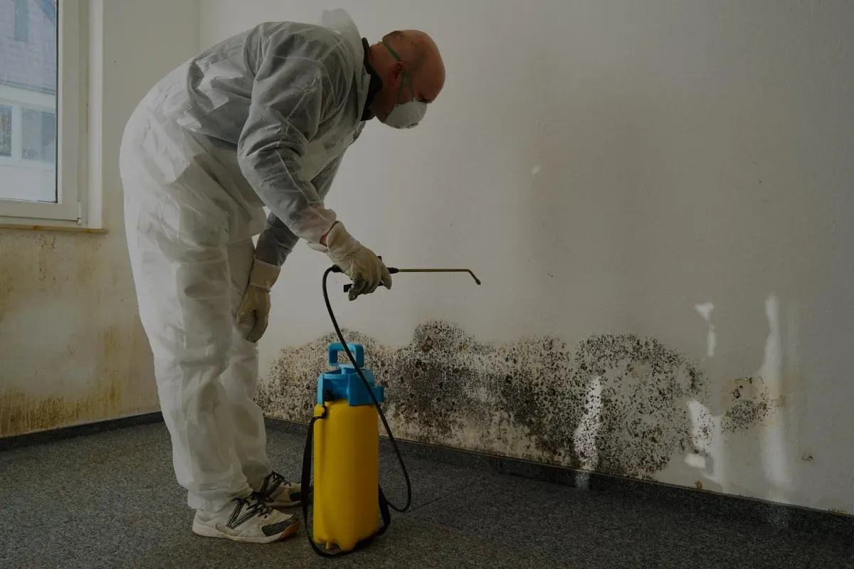 Mold Remediation for Rapid Renovations & Construction in Atlanta, GA
